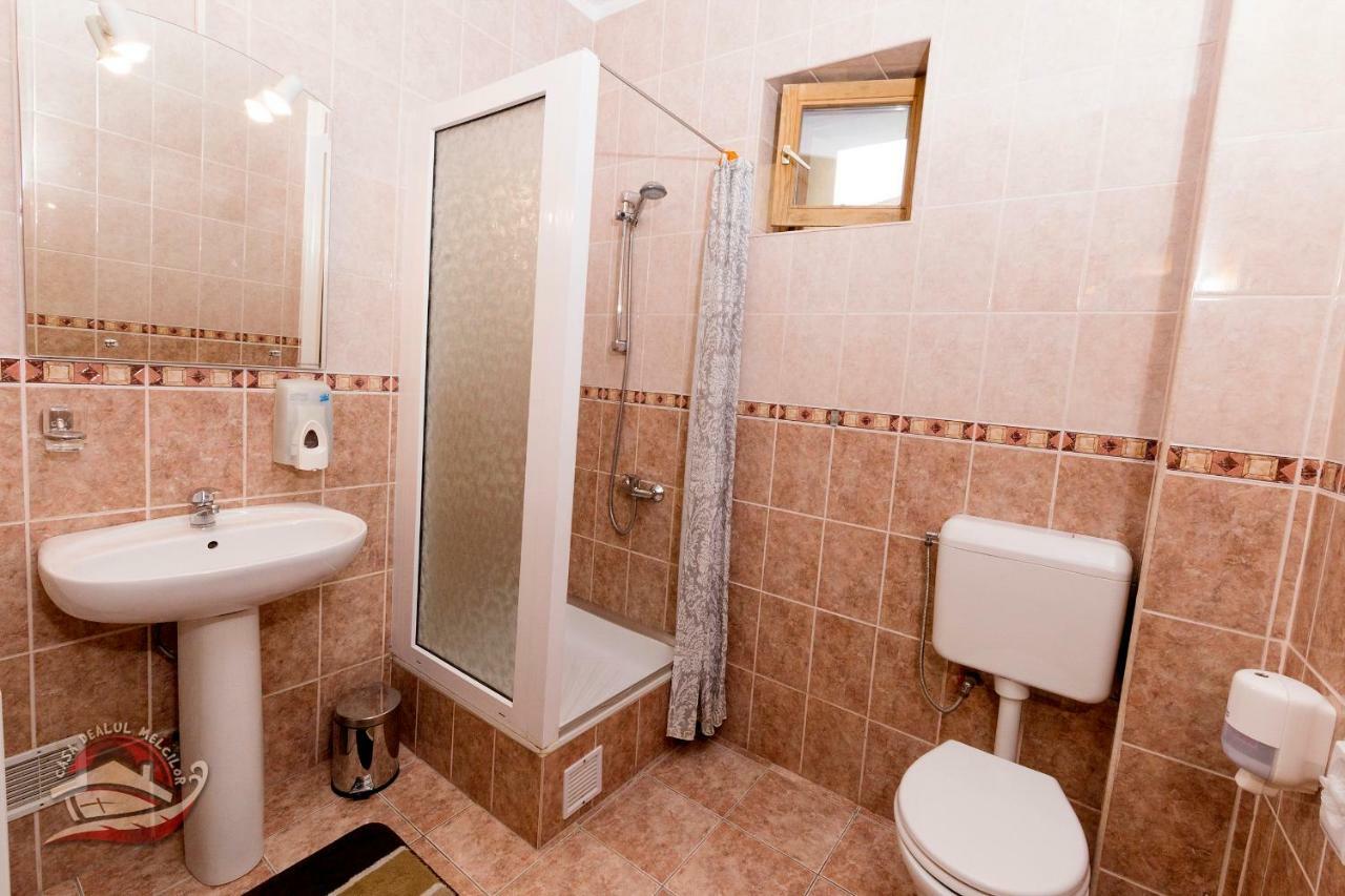فندق براشوففي  Casa Dealul Melcilor المظهر الخارجي الصورة